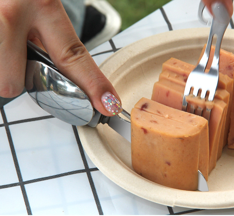 Multi-function Camping Fork Sp - Quechua Camping Cooking Set review and price